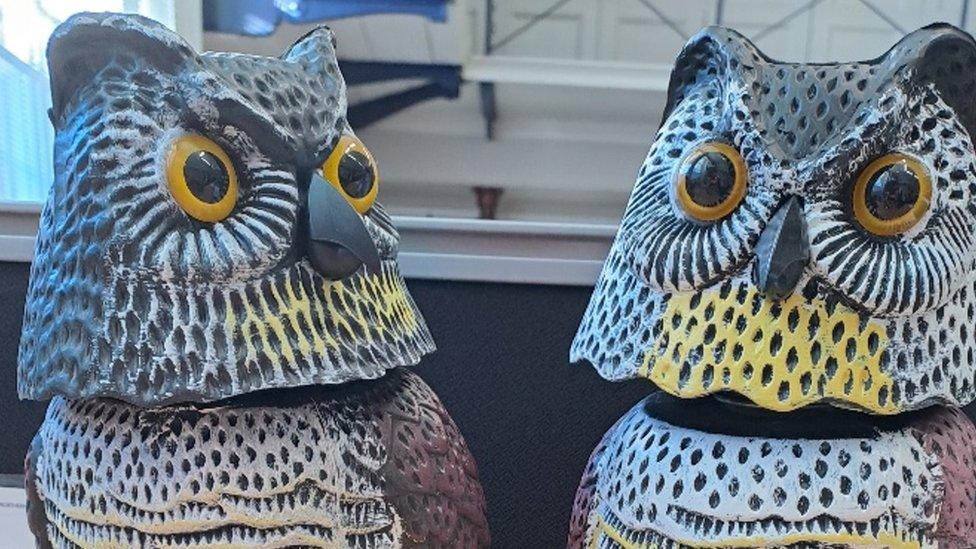 Plastic owl decoys