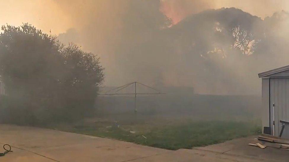 Thick smoke from a bushfire engulfs a yard in Adelaide