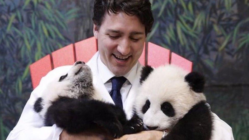 Justin Trudeau with two pandas at Toronto Zoo