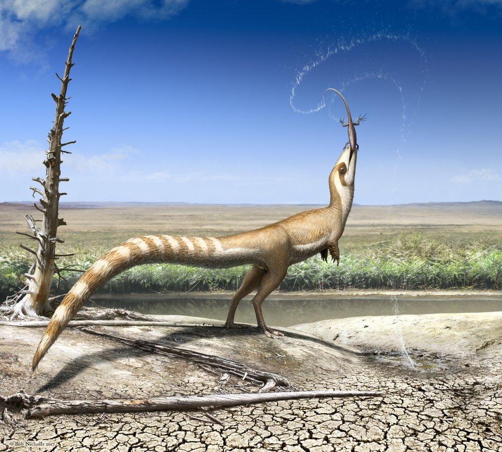 Sinosauropteryx