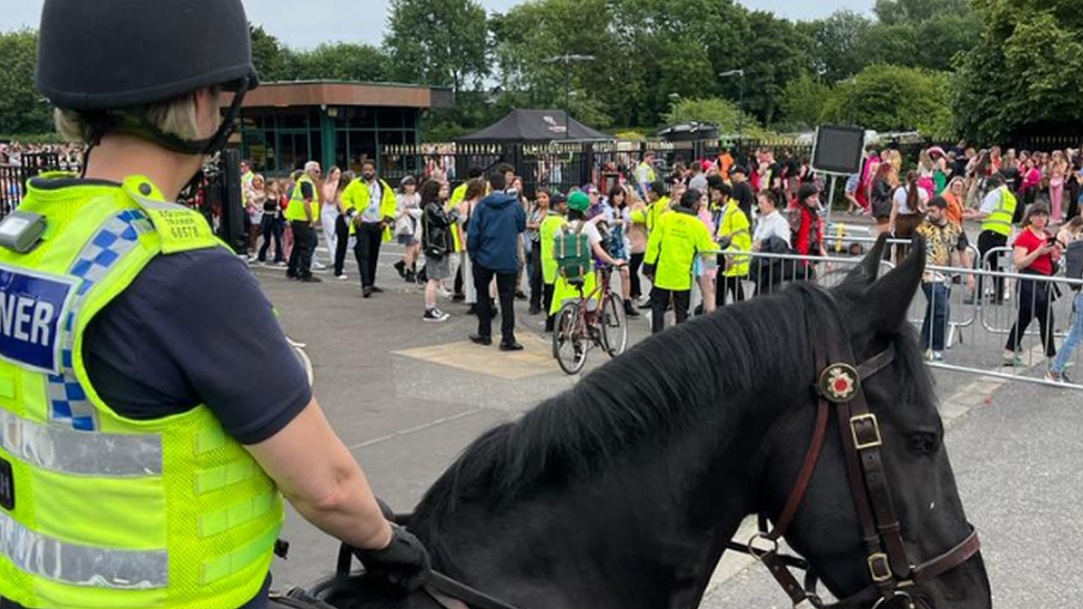 police horse at event