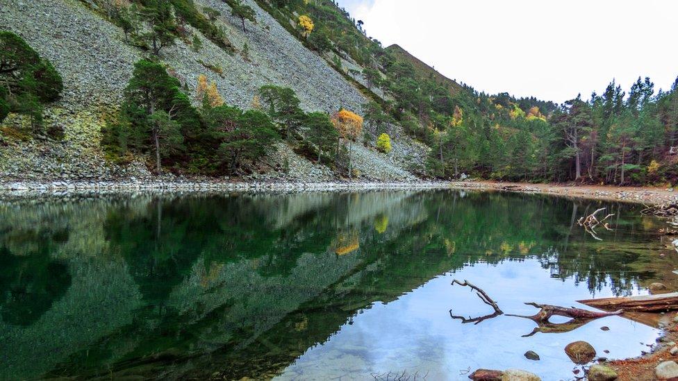 The Green Lochan