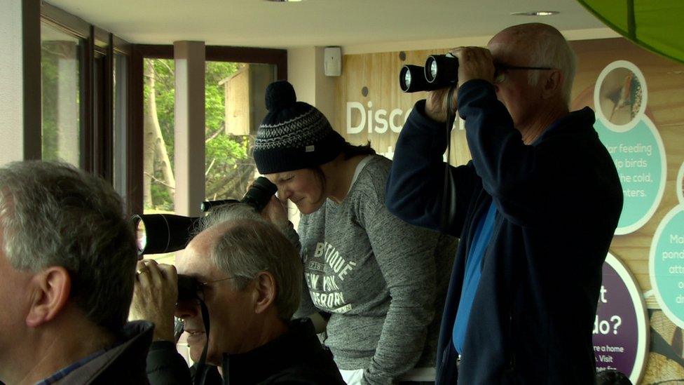 Birdwatchers have been turning up to catch a glimpse