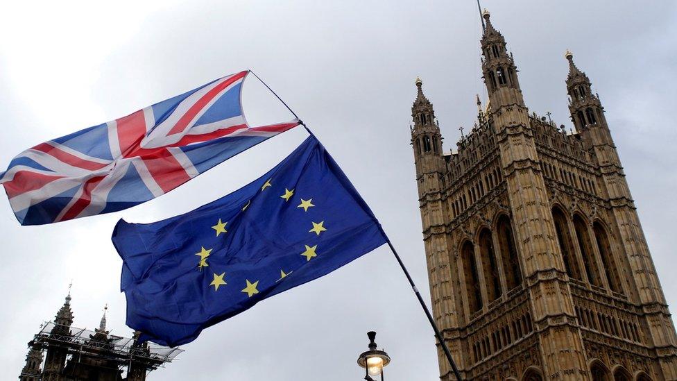 Flags outside parliament