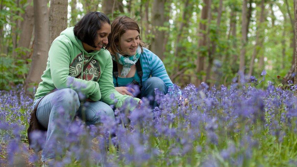 Two young women among bluebells in woodland