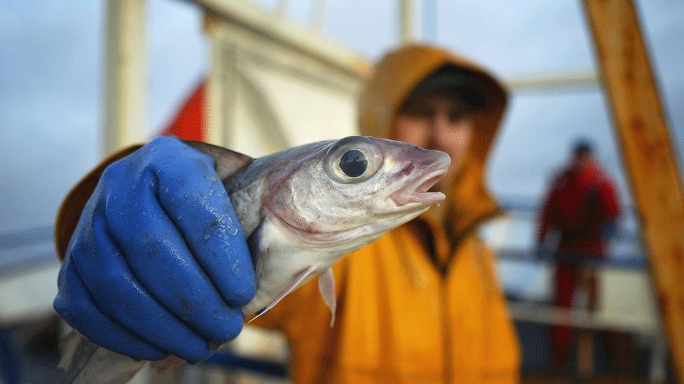 Fisherman holding fish