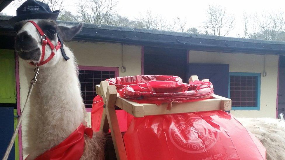 Domingo has a specially made harness to help him carry rubbish