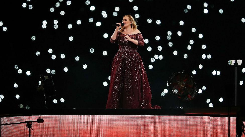 Adele was performing at Sydney's 83,000 capacity ANZ Stadium when the fan had a cardiac arrest