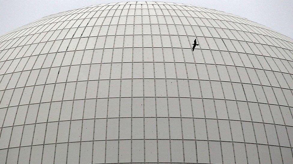 Bird flies past Sizewell nuclear plant