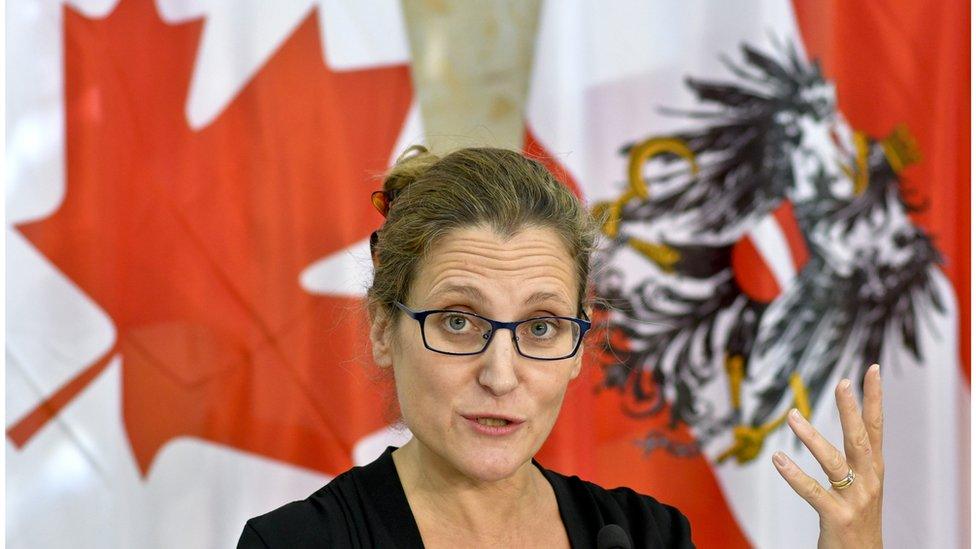 Canadian International Trade Minister Chrystia Freeland attends a press conference in Vienna, Austria