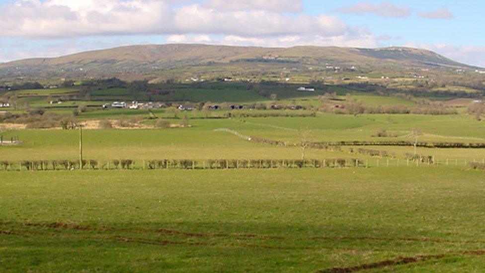 Slieve Gallion