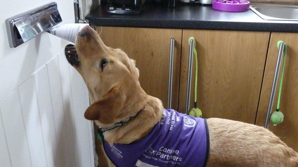 Vinnie taking a leaflet from the letterbox