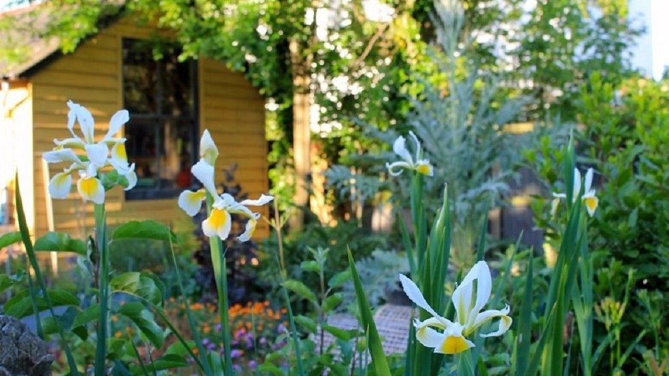 Whitstable gardens in Kent