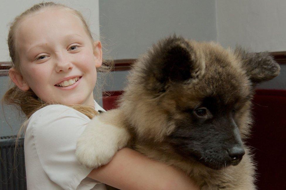 Zoe Picken and American Akita puppy Rosco