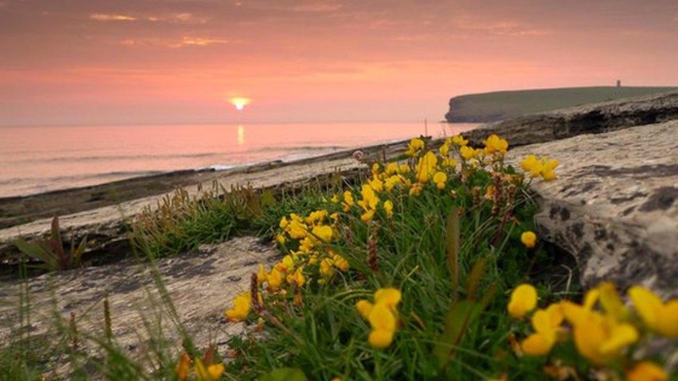 Marwick sunset in Orkney