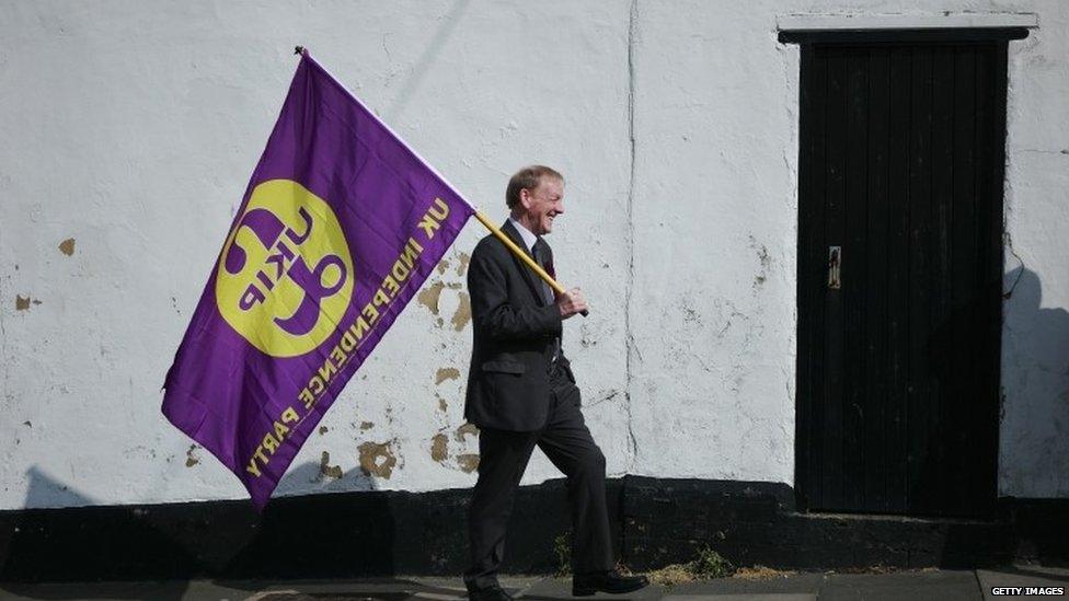 UKIP supporter