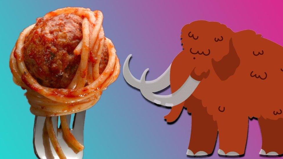 Mammoth meatball