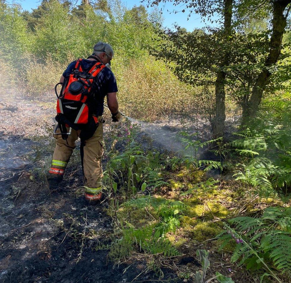 A firefighter damping down in the woodland