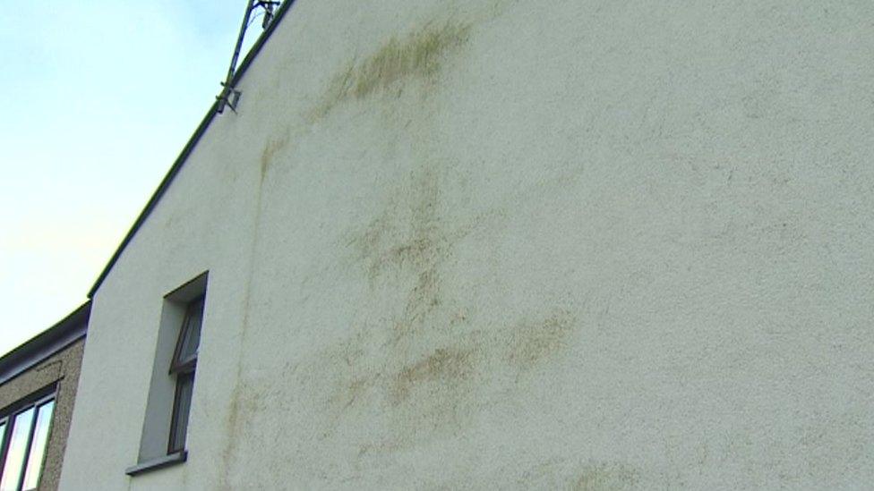 Green marks on the wall