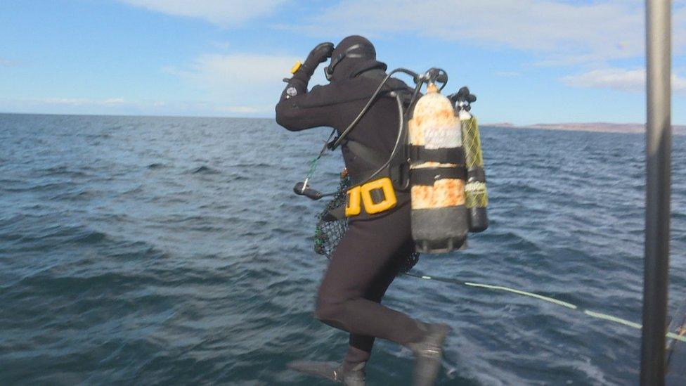 Diver going into the sea