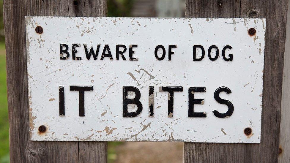 Beware of the dog sign