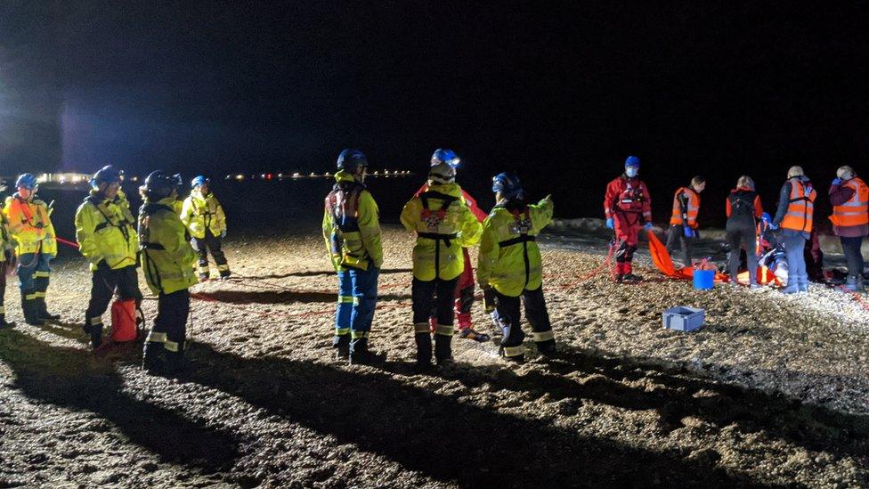 Rescue crews try to save the baby minke whale