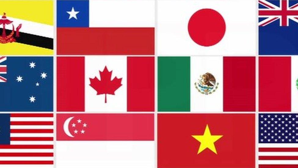 Flags of nations involved in the TPP