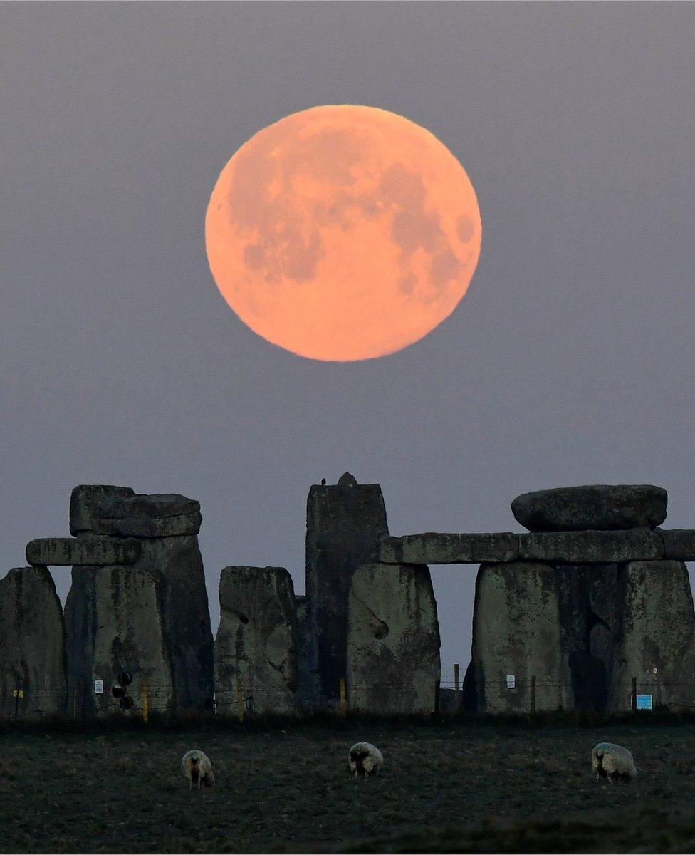 Sheep graze around the Stonehenge stone circle near Amesbury underneath the glowing moon