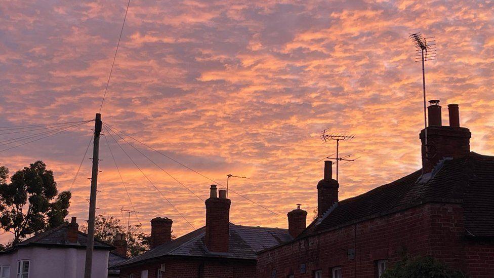 Rooftops of homes with telegraph pole and purple and orange dappled sky