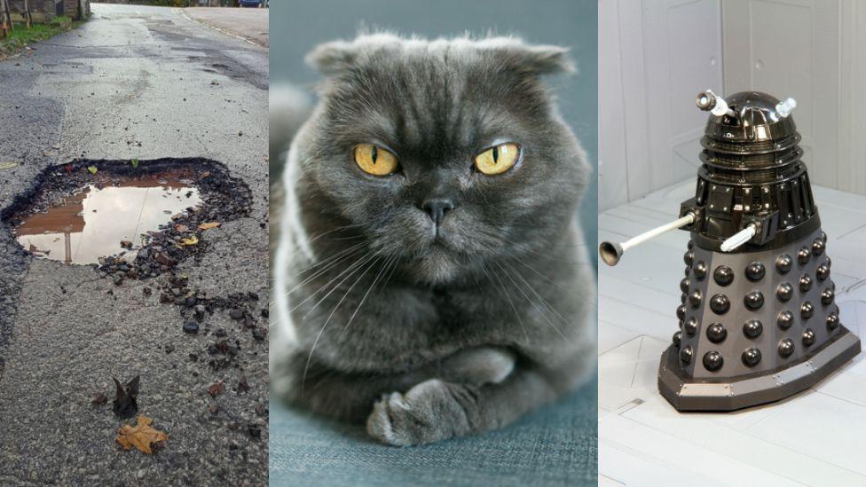 A three way split of a pothole, a grey, evil-looking cat with yellow eyes and a dalek