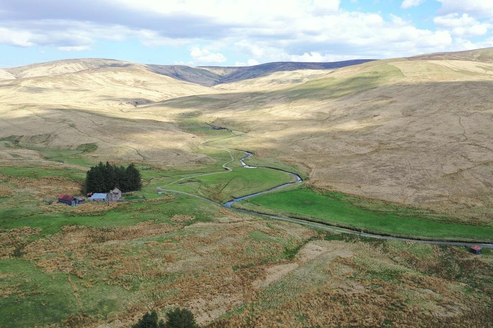 Langholm Moor