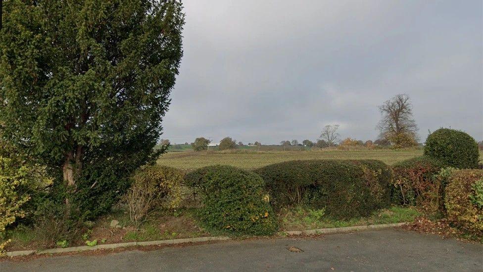 A large field with green brushes and sparse trees in the background. The field is behind a line of bushes making up a hedgerow, as well as a large tree. There is a concrete driveway next to it 