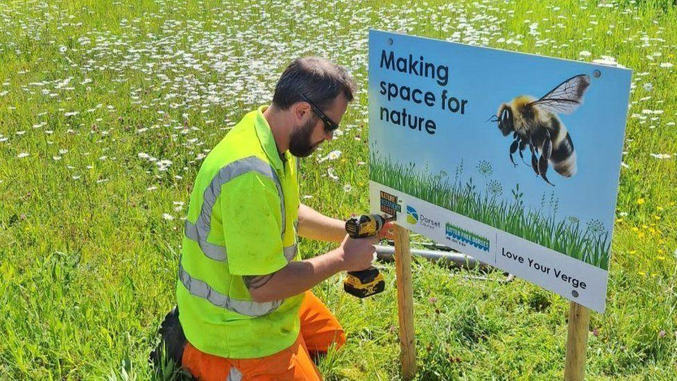 The ‘Love Your Verge’ campaign sign being put up on a verge