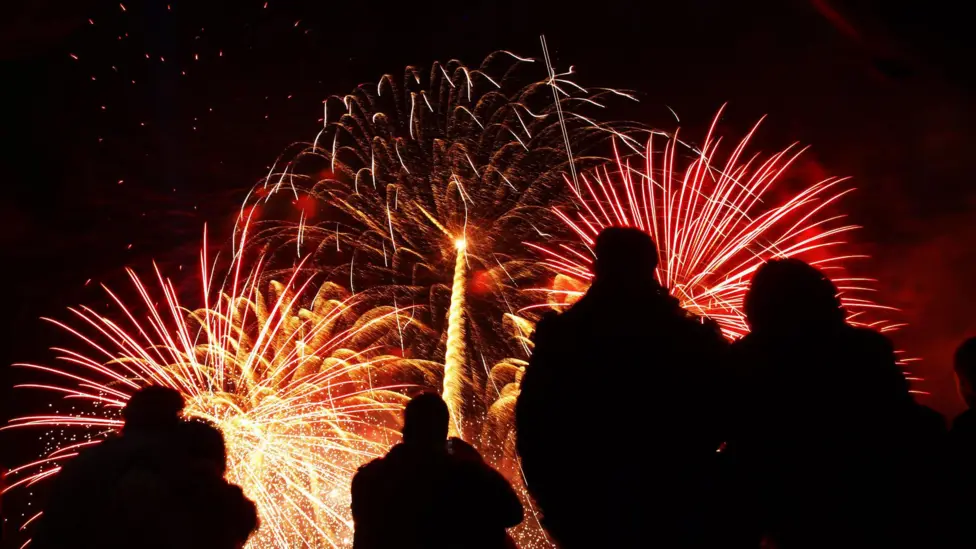 A group of people pictured in silhouette as they watch fireworks lighting up the night sky.