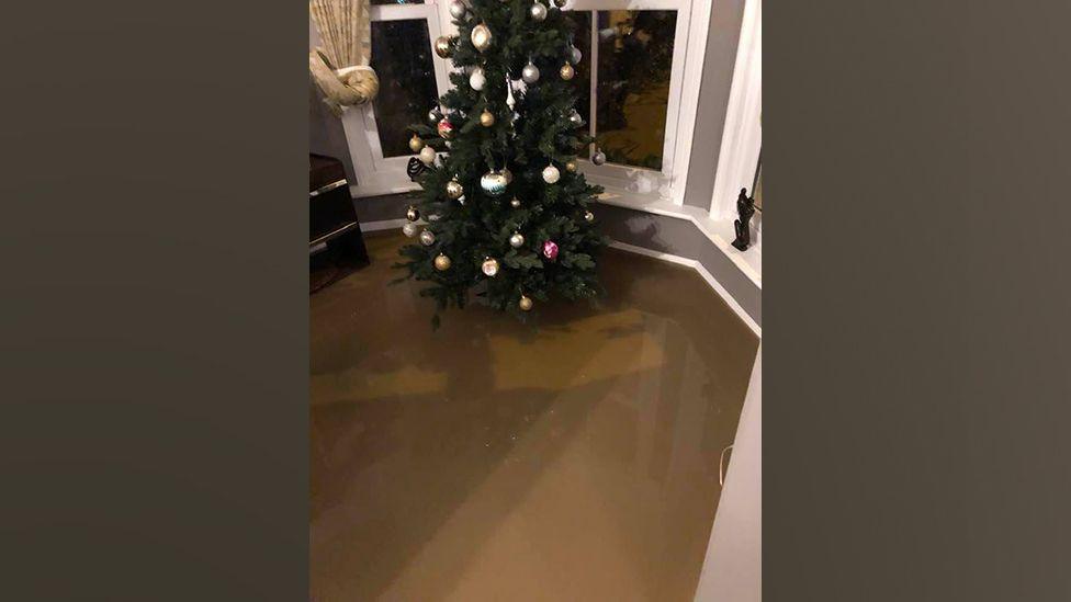 We can see a Christmas tree in a living room where the floor is flooded by several inches of water