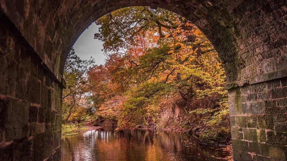 River Severn near Newtown, Powys