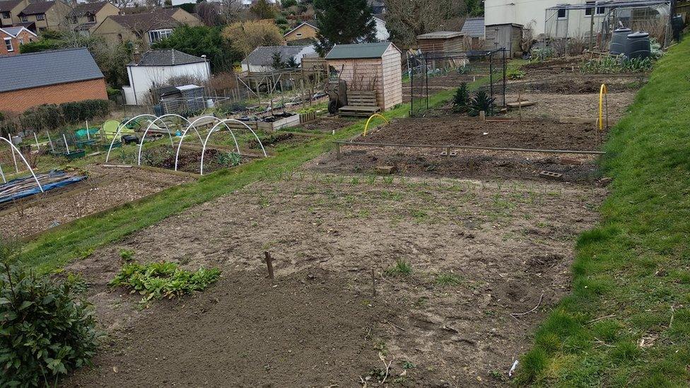 Charlton Kings Allotments