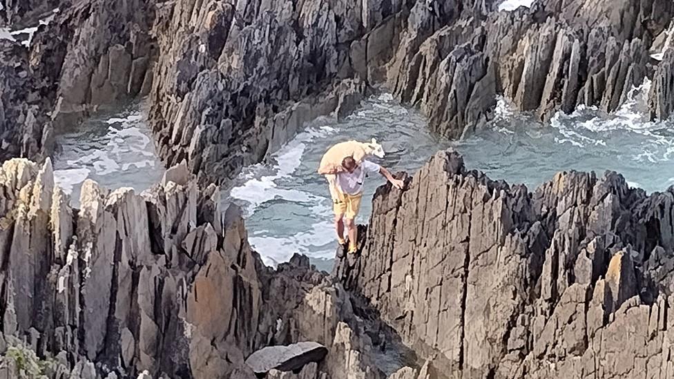 Pershore man's clifftop sheep rescue makes global headlines - BBC News