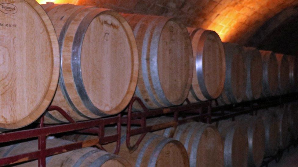 wine barrels in cellars