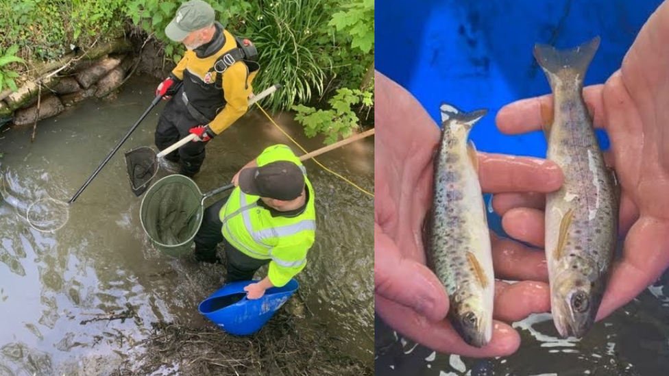 Volunteers work on the Chalgrove Brook