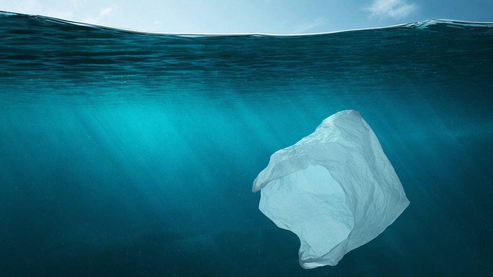 plastic bag in ocean