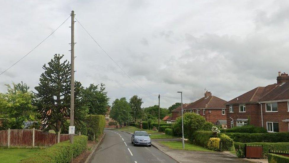 Cocking Lane, Treswell