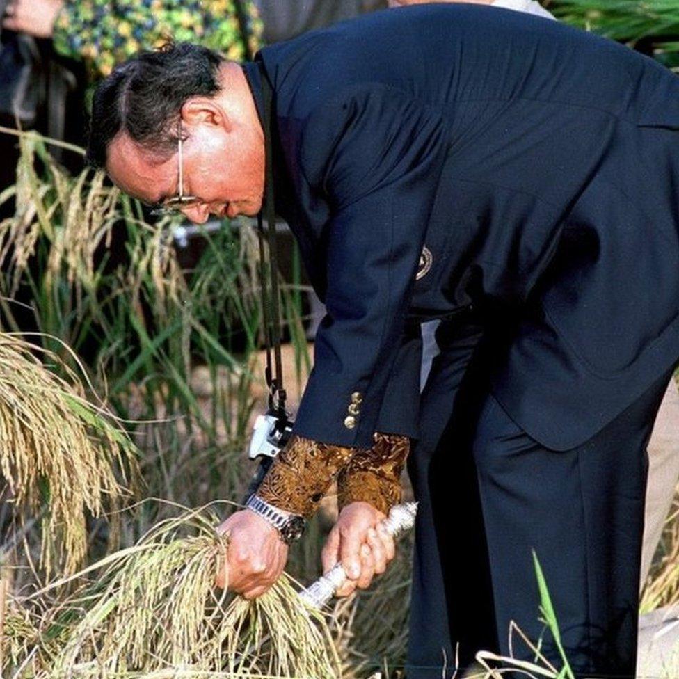 Bhumibol cutting rice