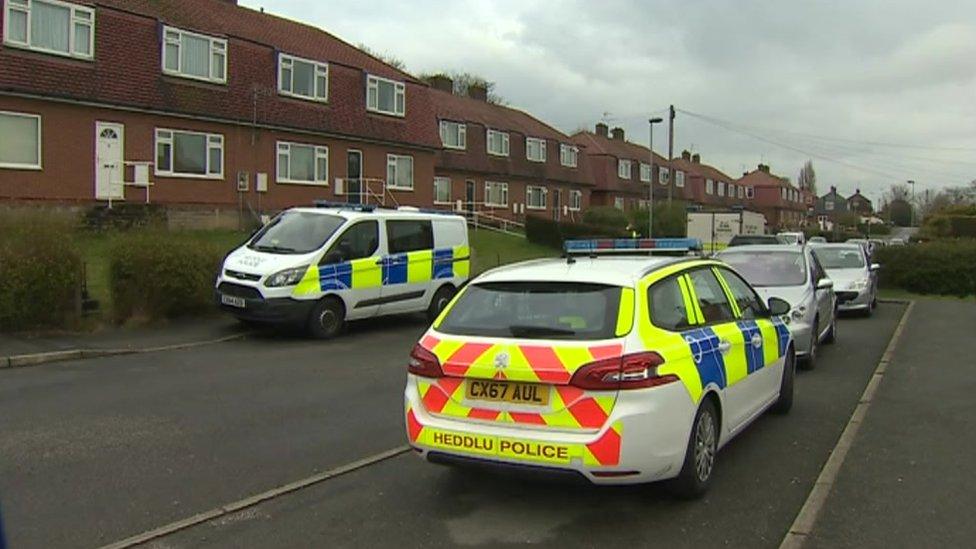 Police vehicles on on Bron y Wern in Bagillt