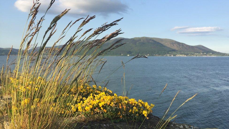 Carlingford Lough is a protected area