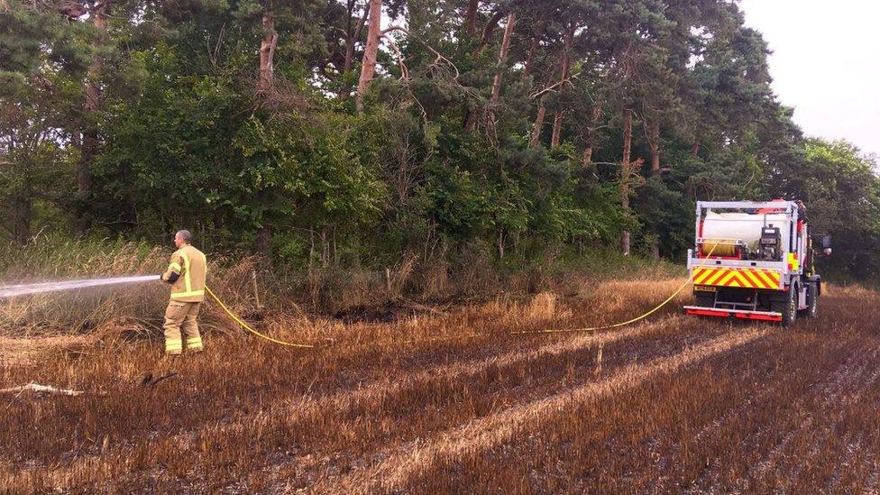 Firefighter spraying crops