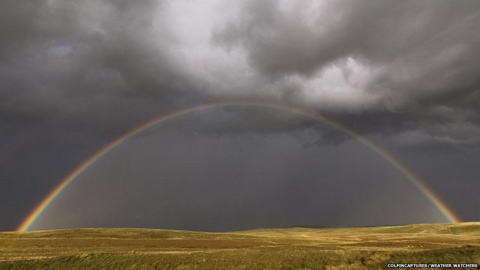 Rainbow in a field under cloudy skies