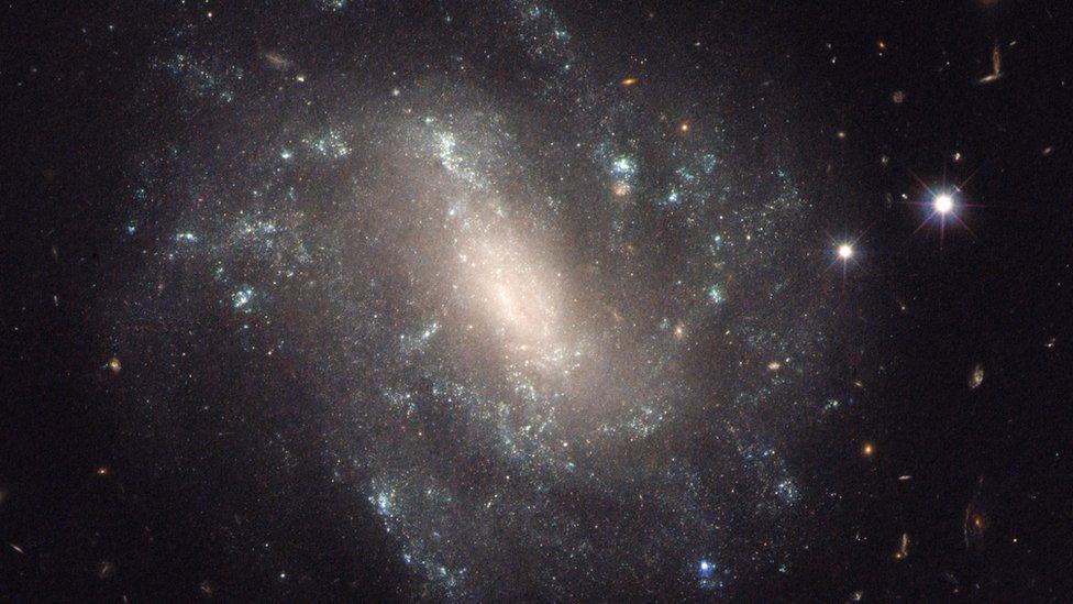 A Hubble Space Telescope image of the galaxy UGC 9391, one of the galaxies in the new survey