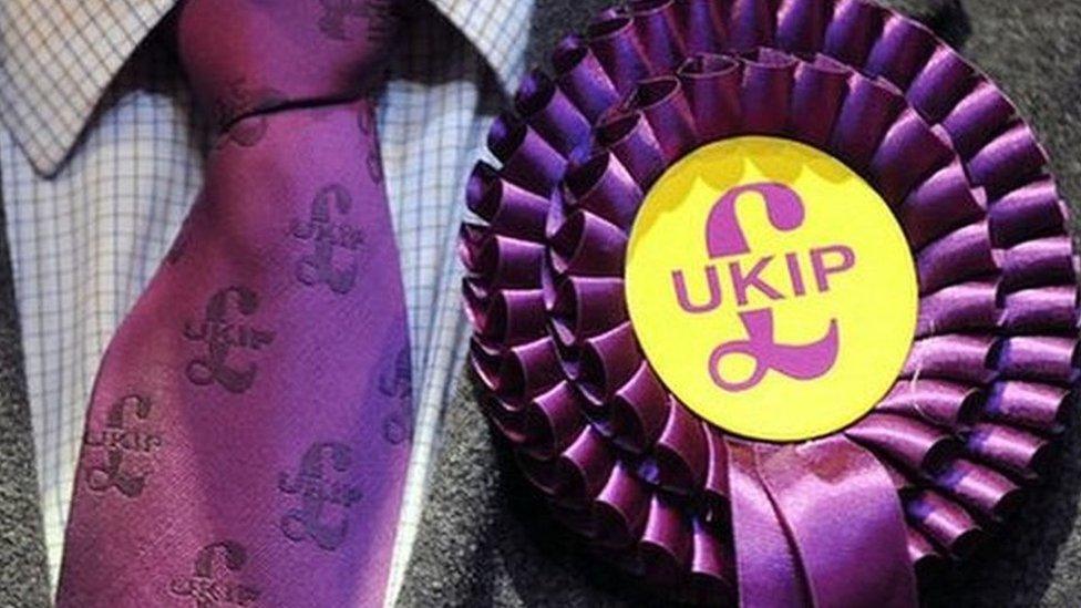 UKIP rosette