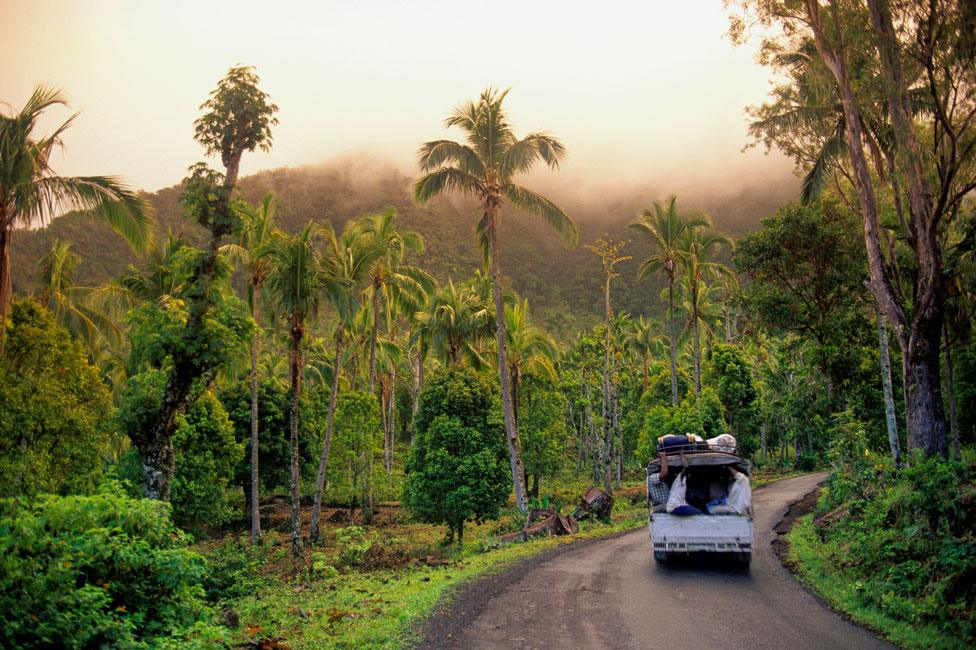 Jungle-covered highlands region of patsi island of anjouan, comoros islands